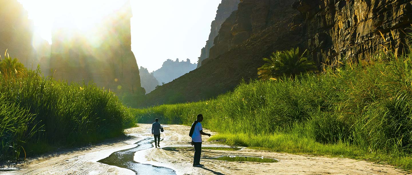 Balancing Growth and Sustainability: Saudi Arabia’s Path Beyond Vision 2030 